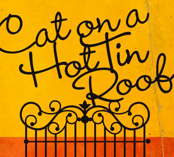 Cat on a Hot Tin Roof: A Review